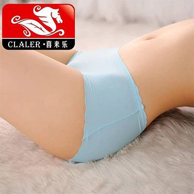 Women's Panties 002