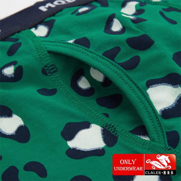 Printing Teenager Children's Underwear