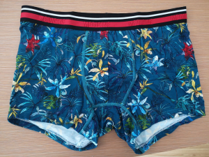 Respirant ekolojik-zanmitay enprime Boxer brèf Gason an