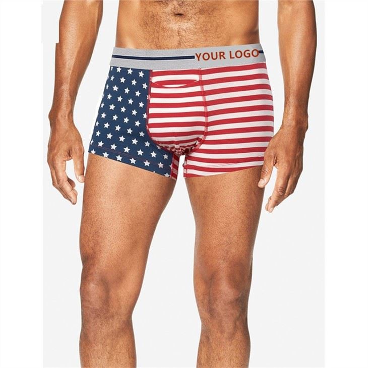 Custom Men's Horizontal Fly Prints Boxers 1