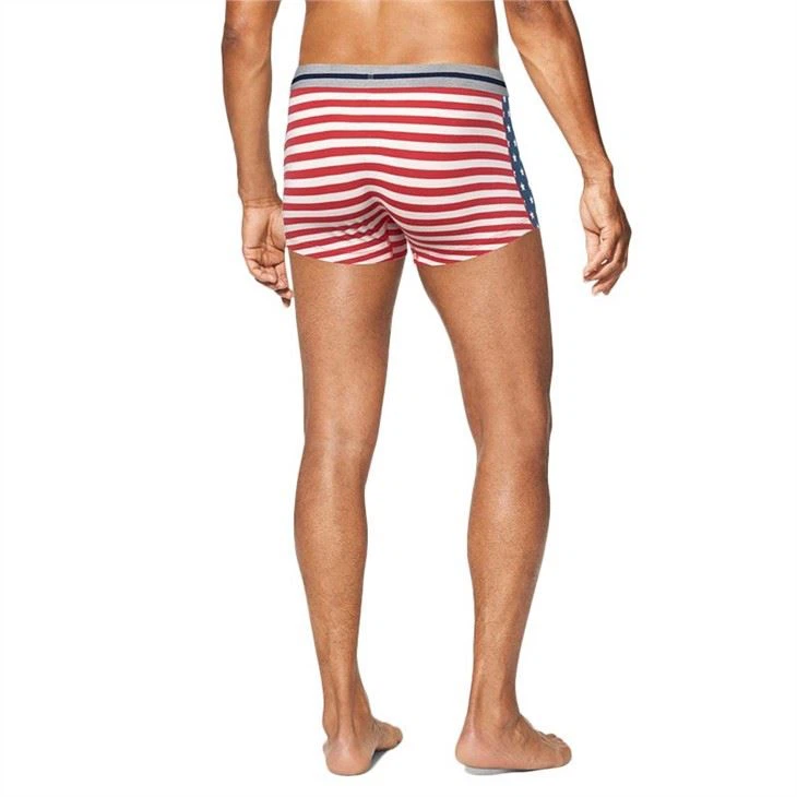 Custom Men's Horizontal Fly Prints Boxers 2